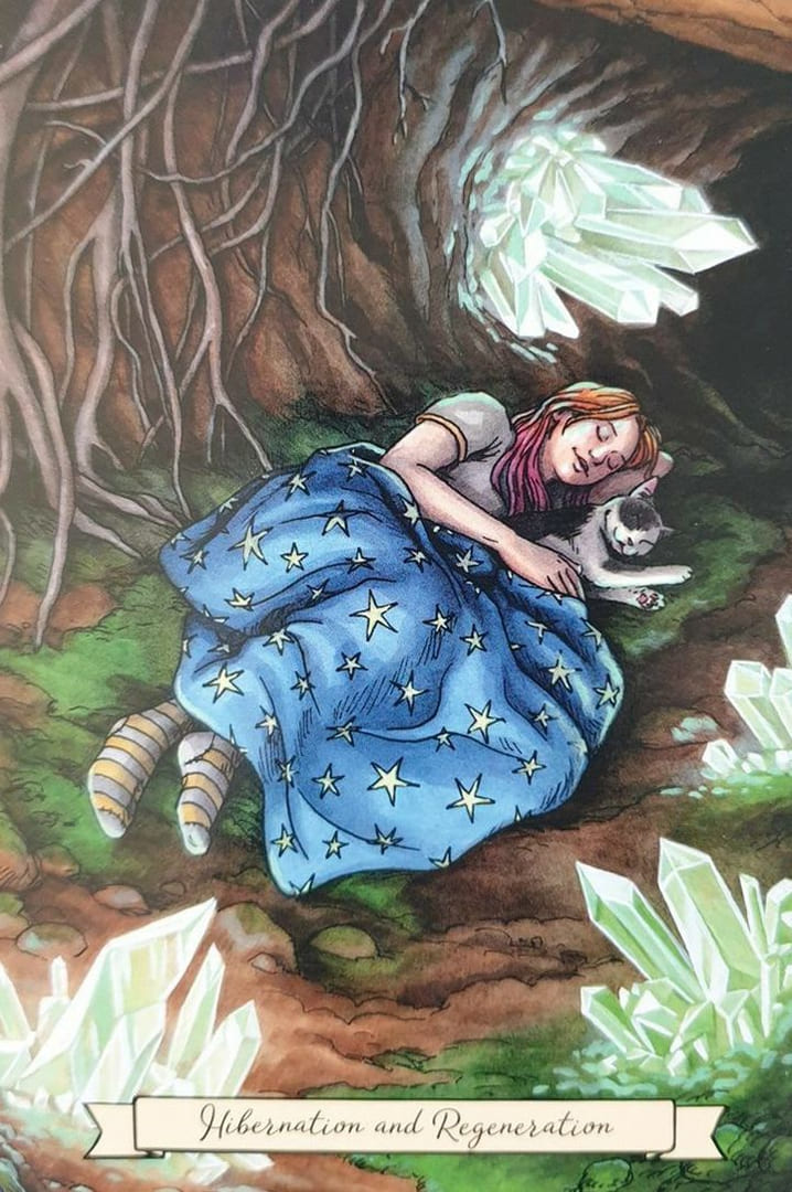 Зимняя спячка и обновление