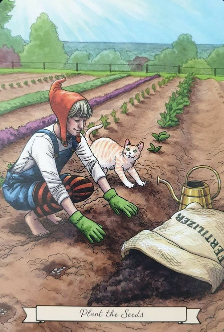 Посадить Семена — Повседневный Оракул Ведьмы