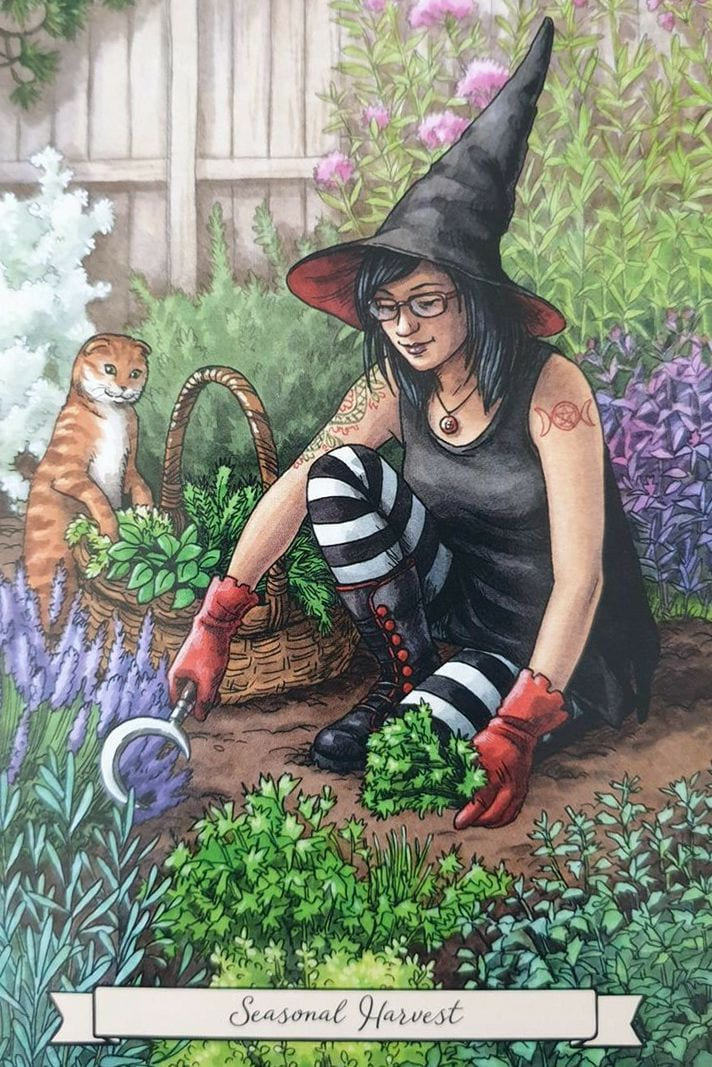 Сезонный урожай — Повседневный Оракул Ведьмы