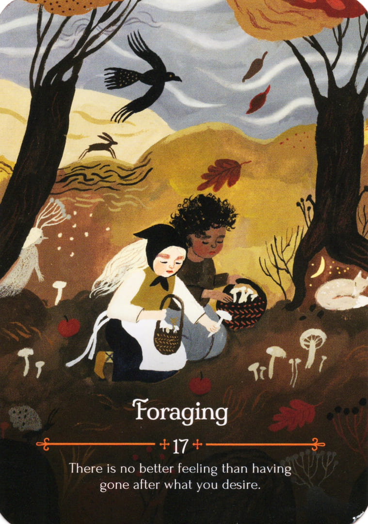 Поиск — Оракул Мабон