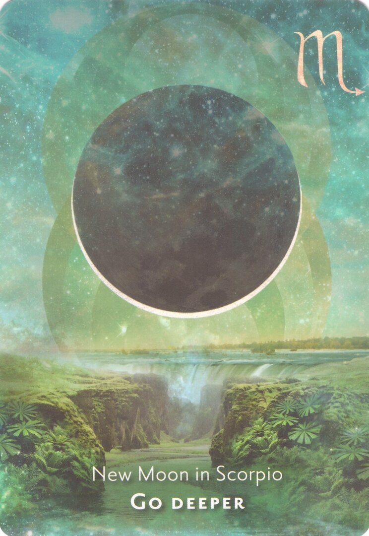 Новолуние в Скорпионе — Сила Дикой Луны