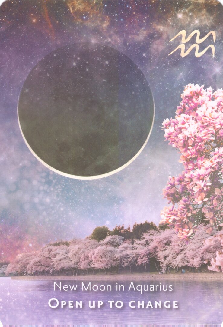 Новолуние в Водолее — Сила Дикой Луны