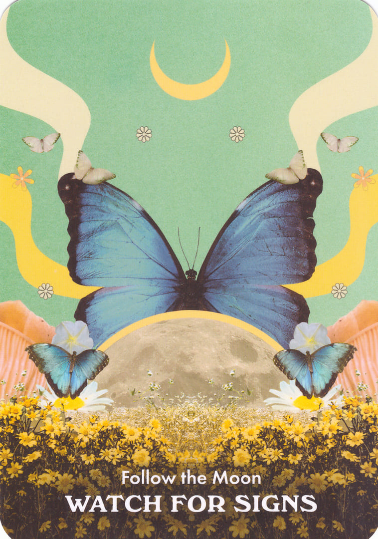 Следуй за Луной