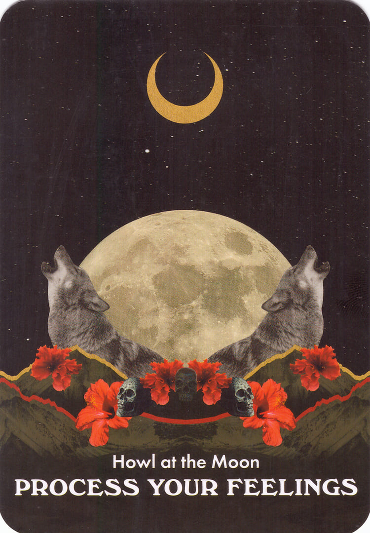 Вой на Луну — Лунология — Оракул лунных посланий