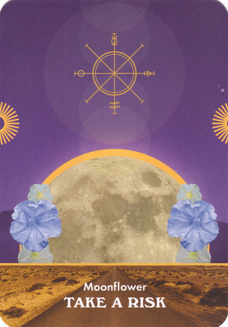 Цветок Луны — Лунология — Оракул лунных посланий