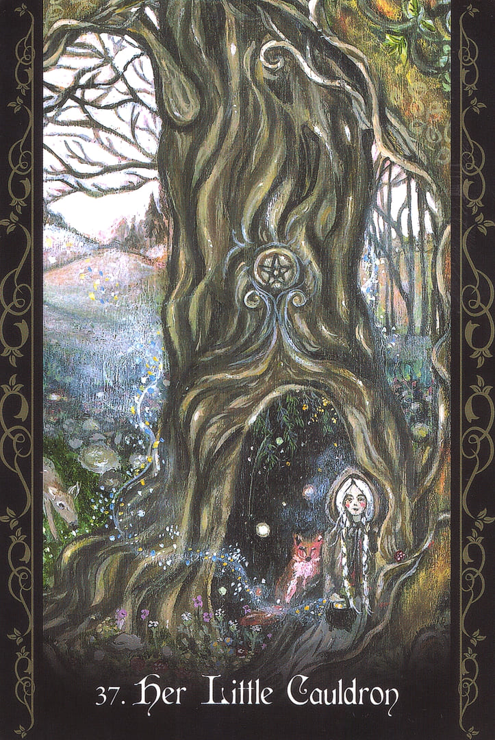 Ее Маленький Котел