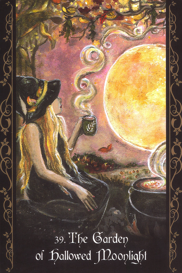 Сад Освященного Лунного Света — Оракул Одинокой Ведьмы