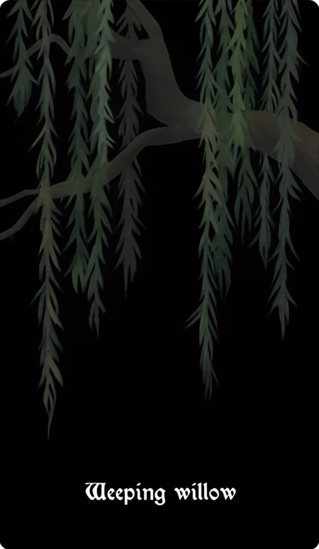 Плакучая ива — Nocturna Oracle