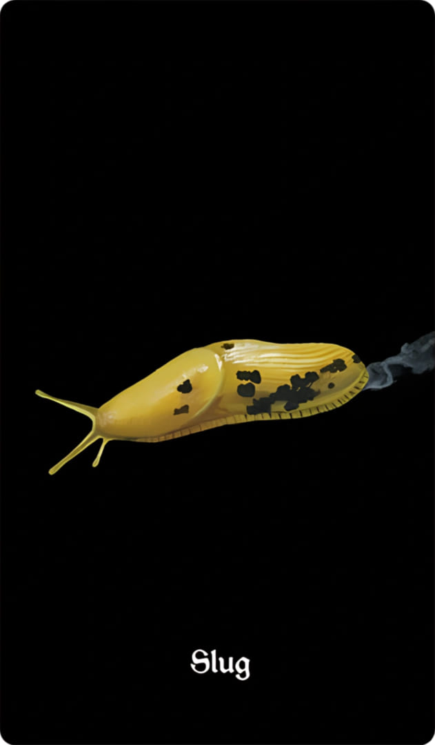 Слизень — Nocturna Oracle