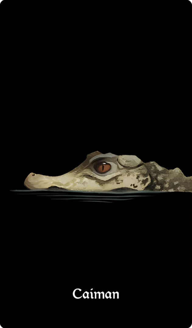 Кайман — Nocturna Oracle