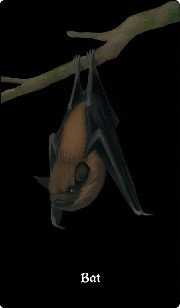 Летучая мышь