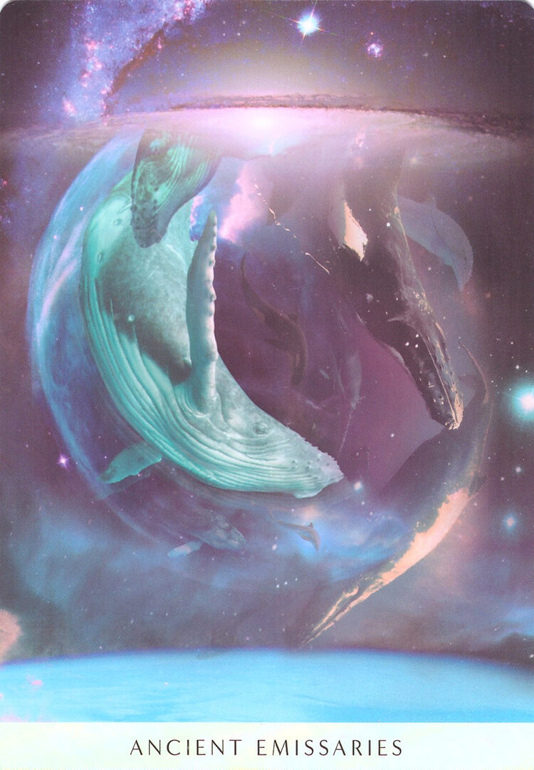 2. ДРЕВНИЕ ПОСЛАННИКИ