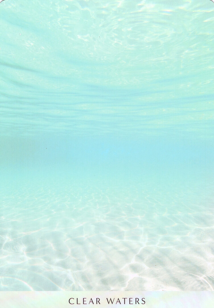 8. ЧИСТЫЕ ВОДЫ