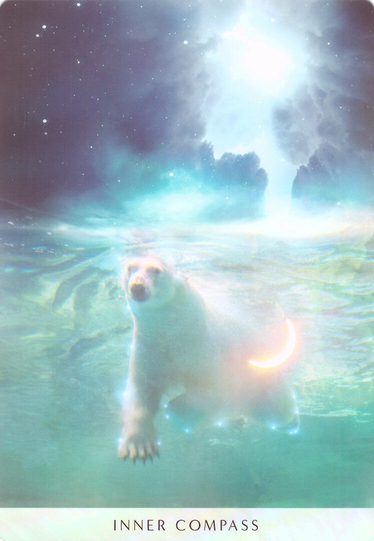 19. ВНУТРЕННИЙ КОМПАС — Оракул Мечты Океана