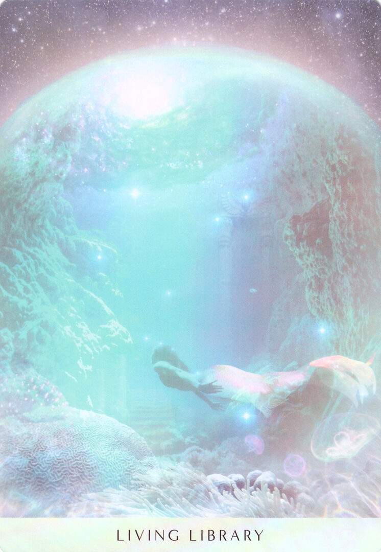 23. ЖИВАЯ БИБЛИОТЕКА — Оракул Мечты Океана