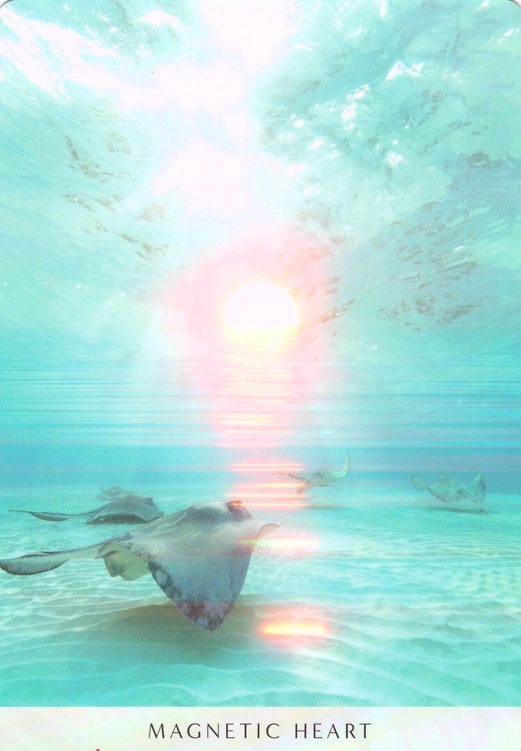 26. МАГНИТНОЕ СЕРДЦЕ