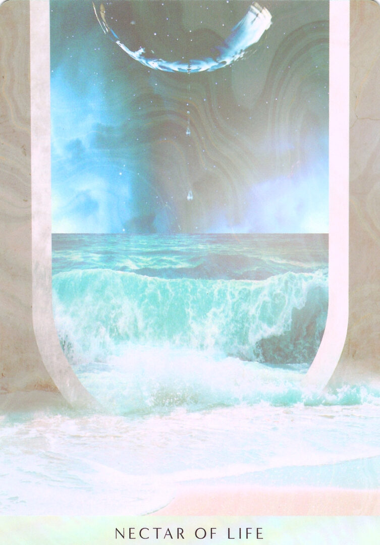 31. НЕКТАР ЖИЗНИ — Оракул Мечты Океана