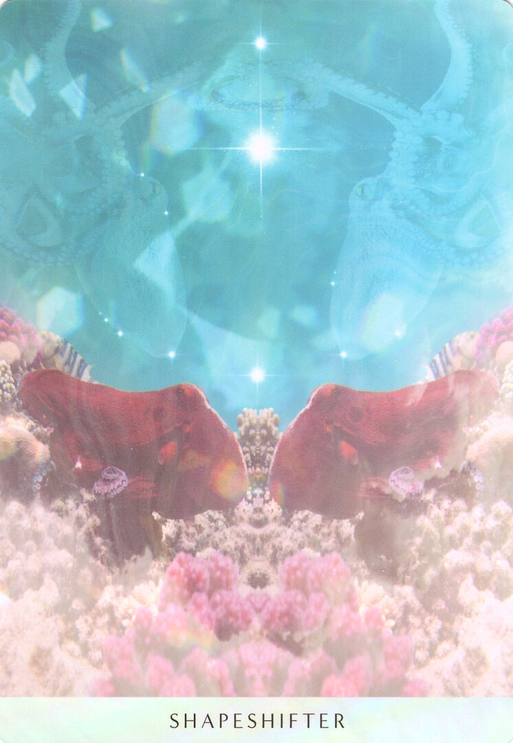 47. МЕНЯЮЩИЙ ОБЛИК