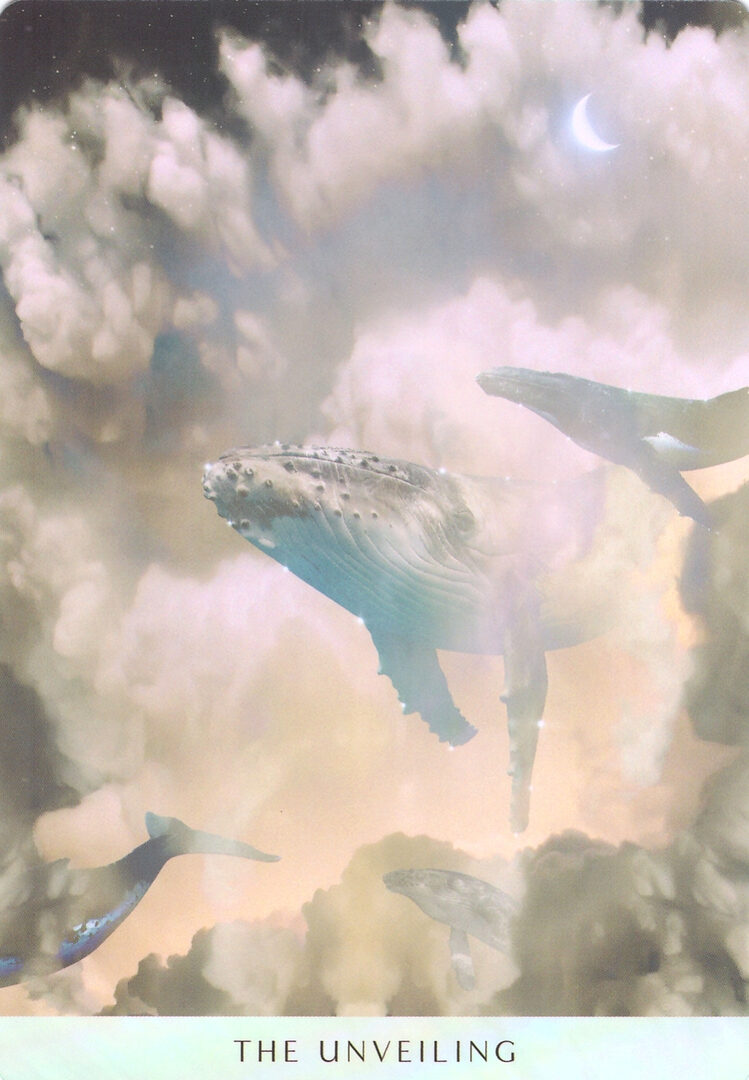 57. ОТКРОВЕНИЕ — Оракул Мечты Океана