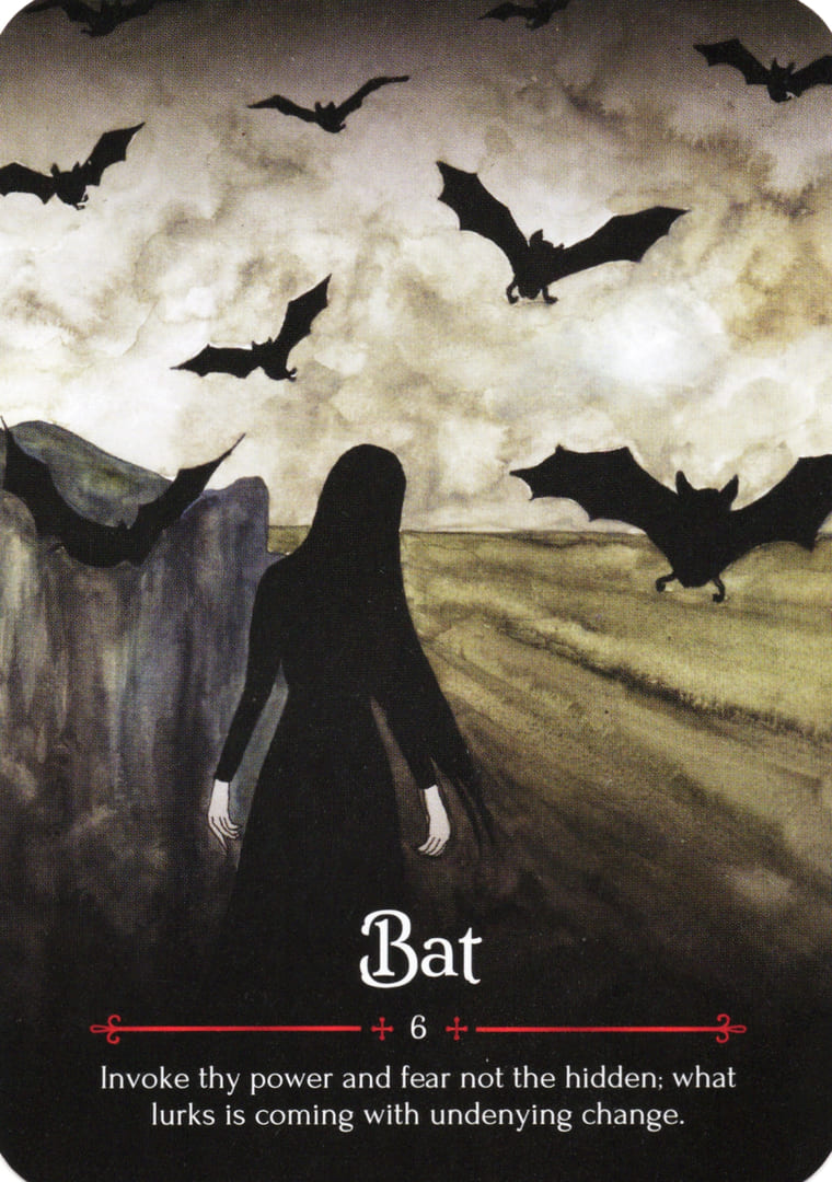 Летучая мышь