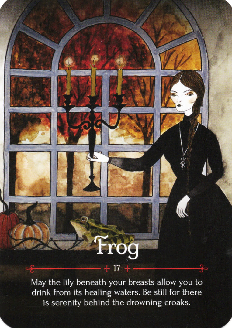 Лягушка — Оракул Самайн