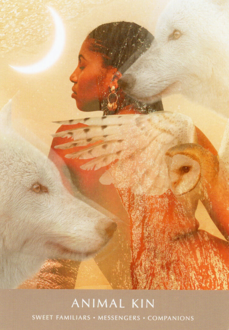 4. Родство с Животными