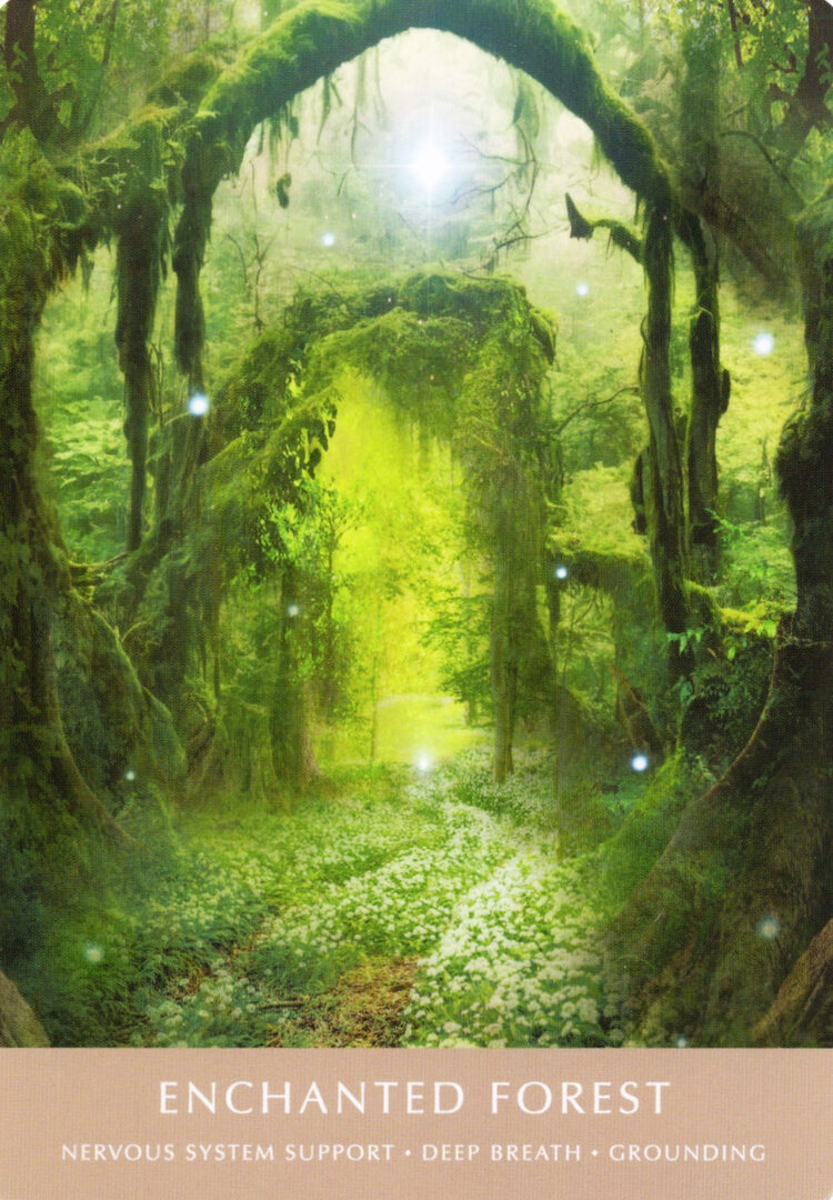 18. Зачарованный Лес — Dreamgate Oracle