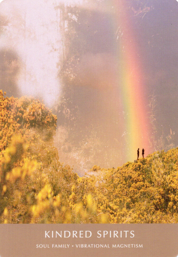 29. Родственные Души