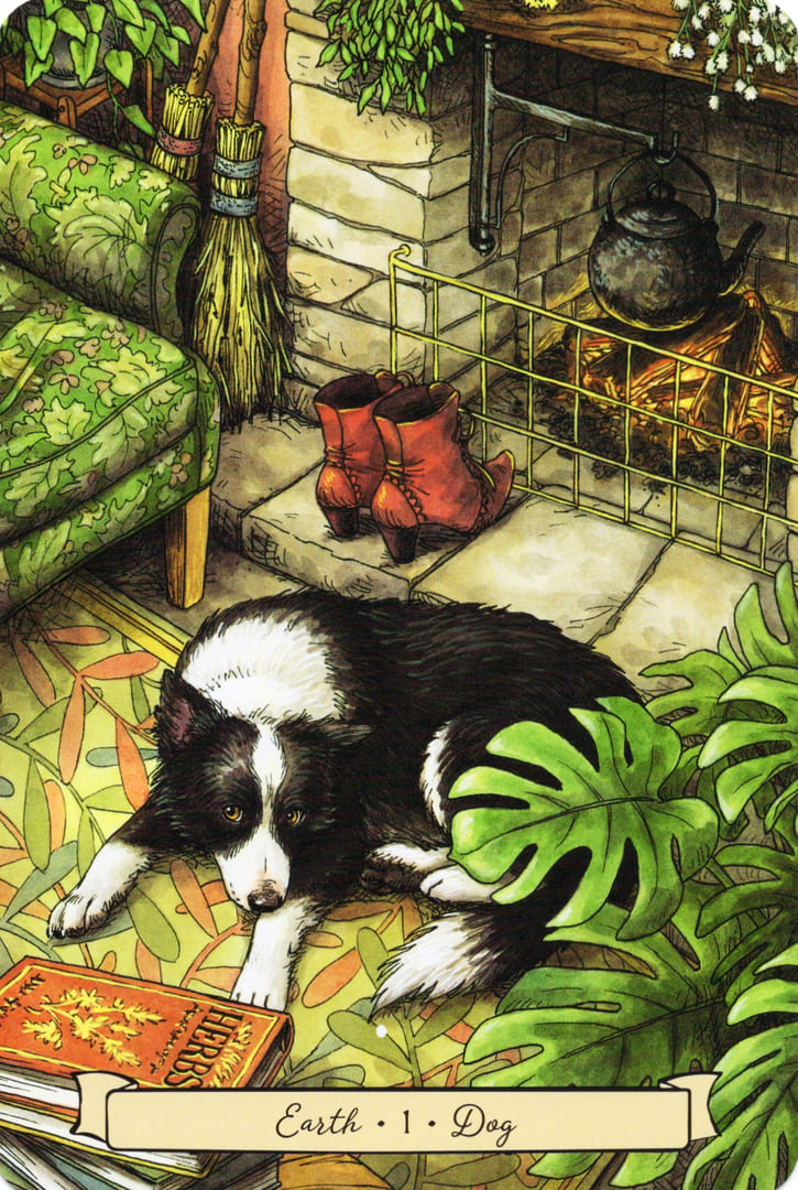 1 Собака (Земля)