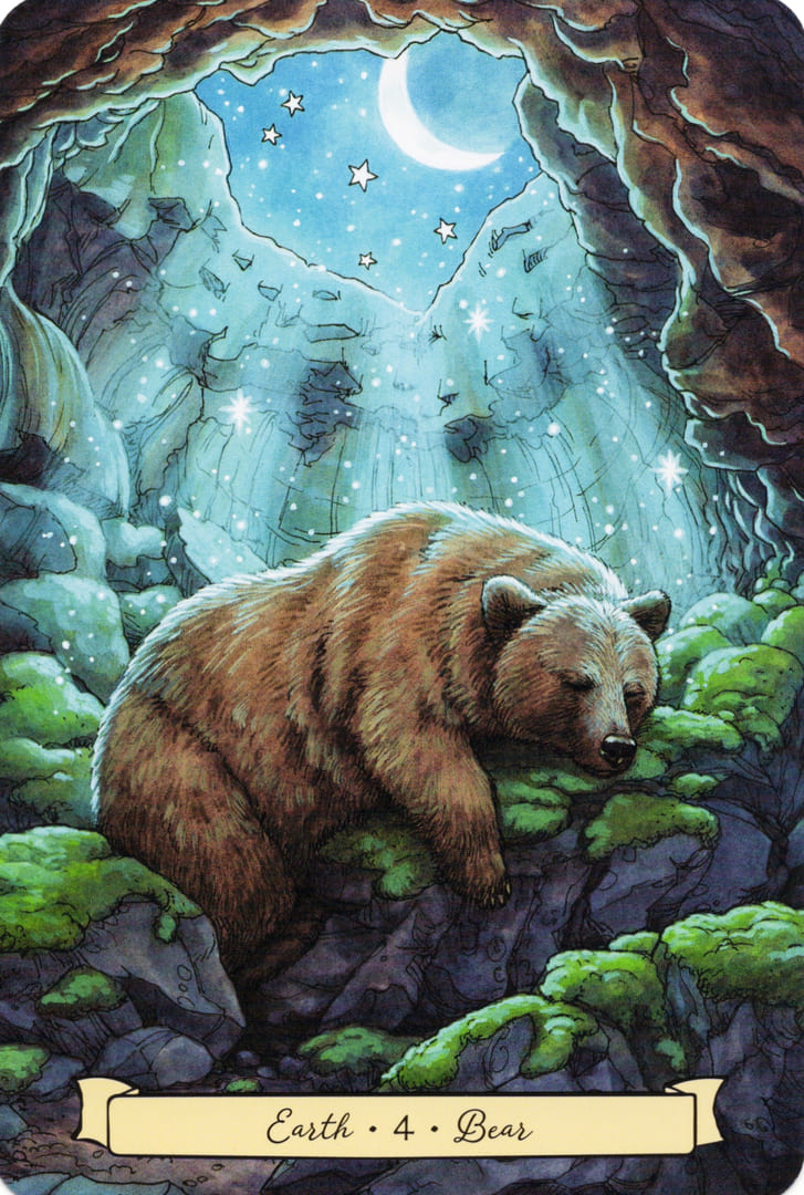 4 Медведь (Земля)