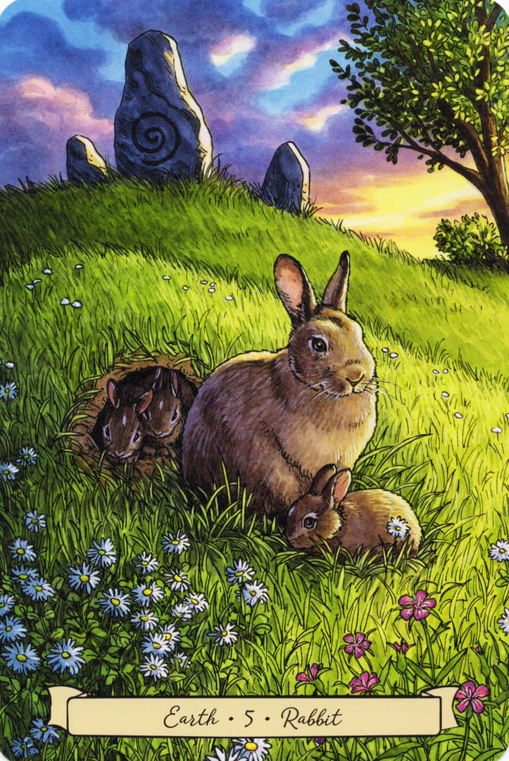 5 Кролик (Земля) — Everyday Witch's Familiars Oracle
