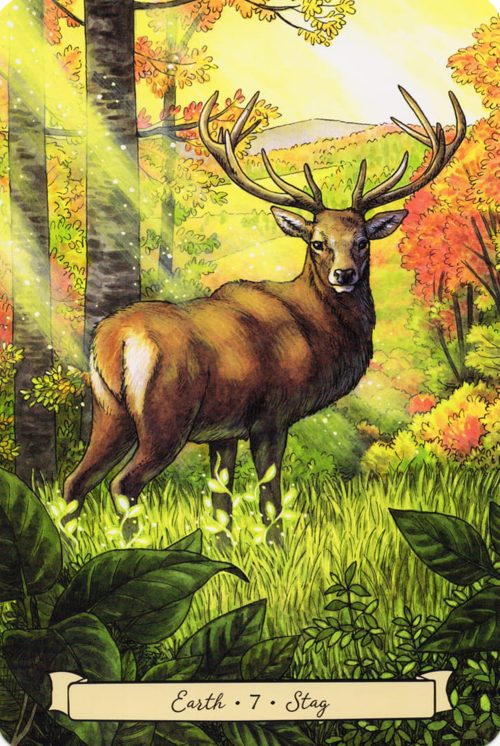 7 Олень (Земля) — Everyday Witch's Familiars Oracle