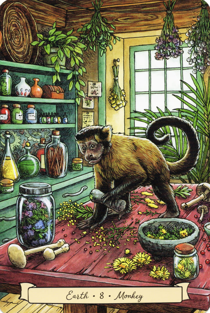 8 Обезьяна (Земля)