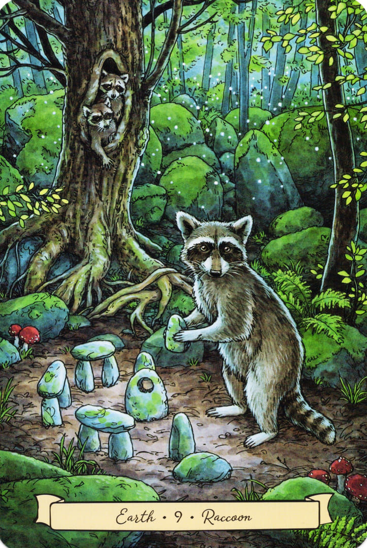 9 Енот (Земля) — Everyday Witch's Familiars Oracle