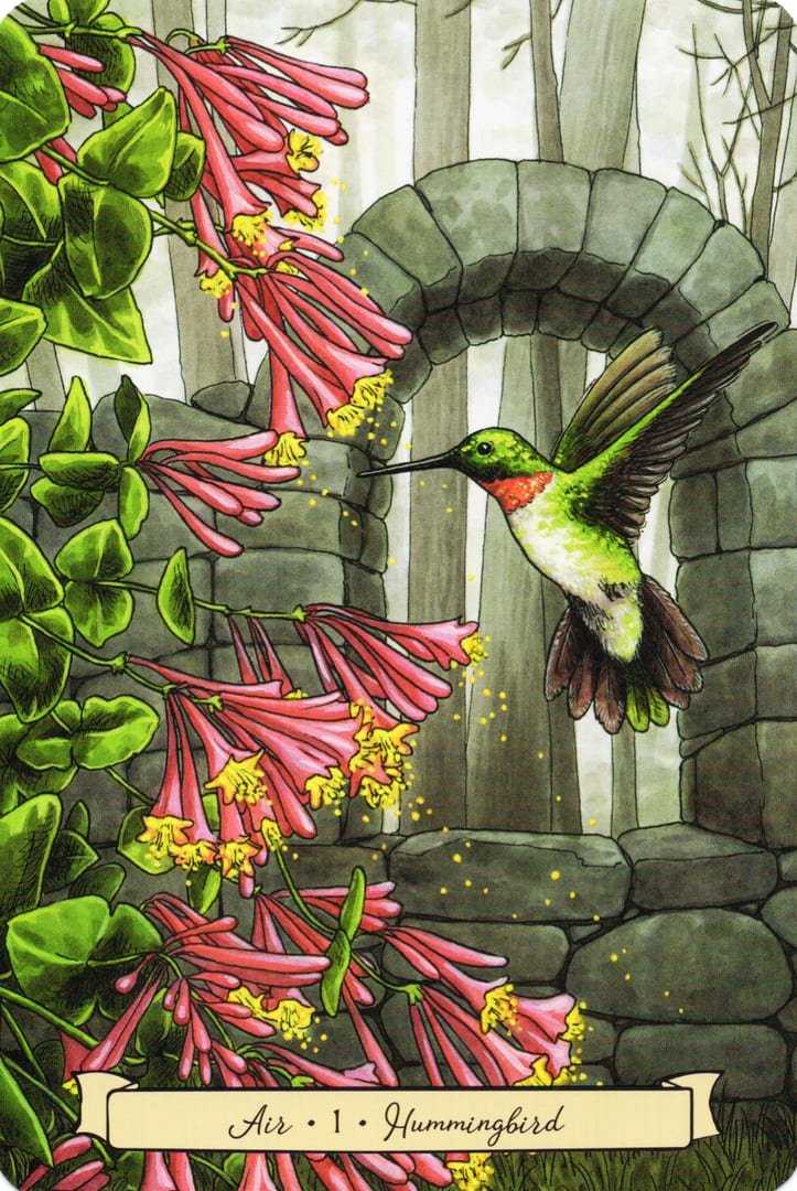 1 Колибри (Воздух)