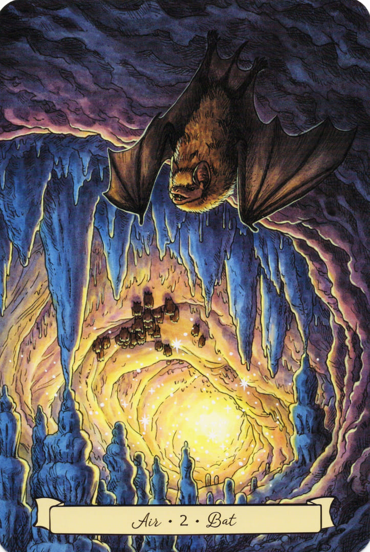2 Летучая мышь (Воздух) — Everyday Witch's Familiars Oracle