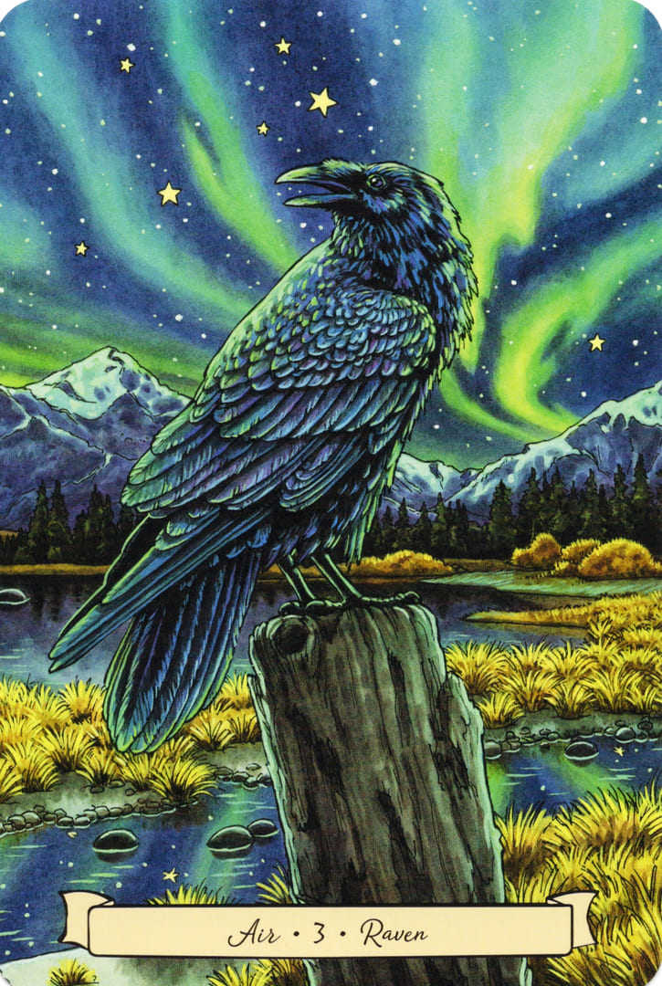 3 Ворон (Воздух) — Everyday Witch's Familiars Oracle