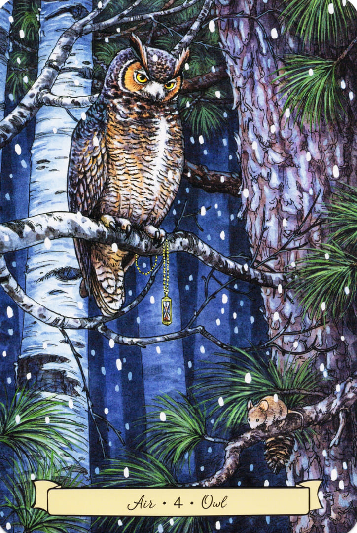 4 Сова (Воздух) — Everyday Witch's Familiars Oracle