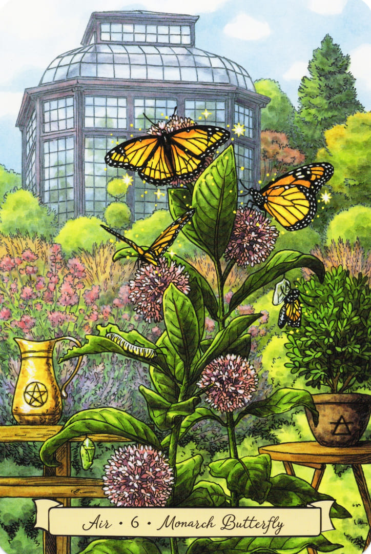 6 Бабочка-Монарх (Воздух) — Everyday Witch's Familiars Oracle