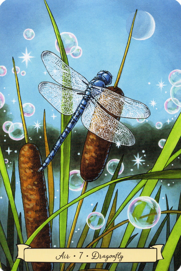 7 Стрекоза (Воздух)