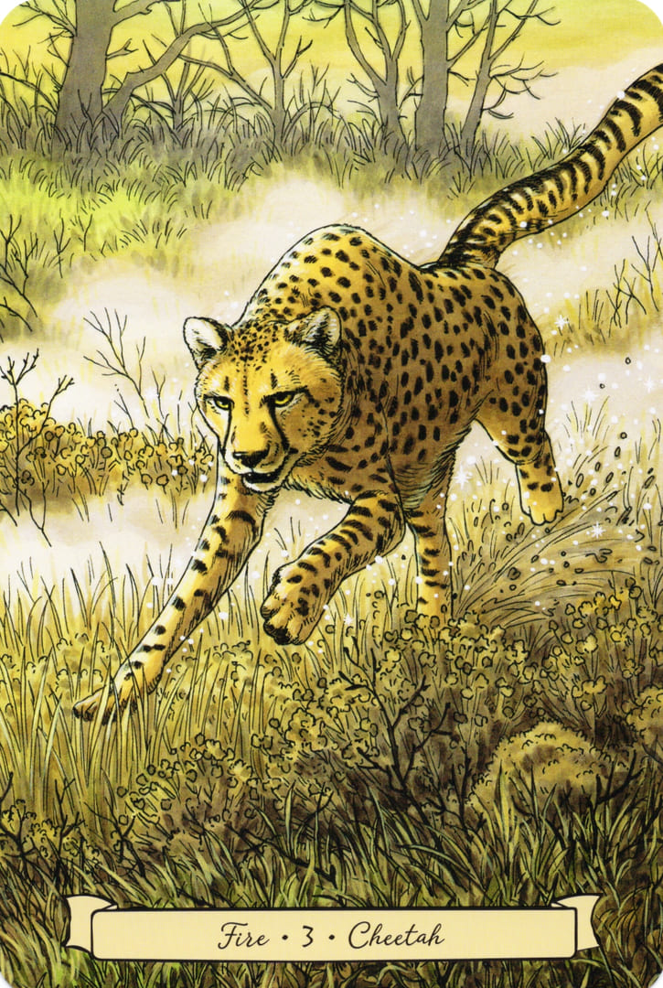 3 Гепард (Огонь) — Everyday Witch's Familiars Oracle