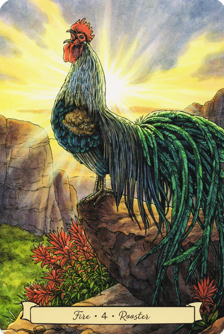 4 Петух (Огонь)