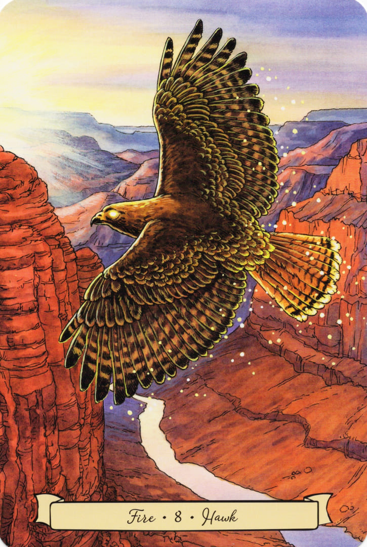 8 Ястреб (Огонь) — Everyday Witch's Familiars Oracle
