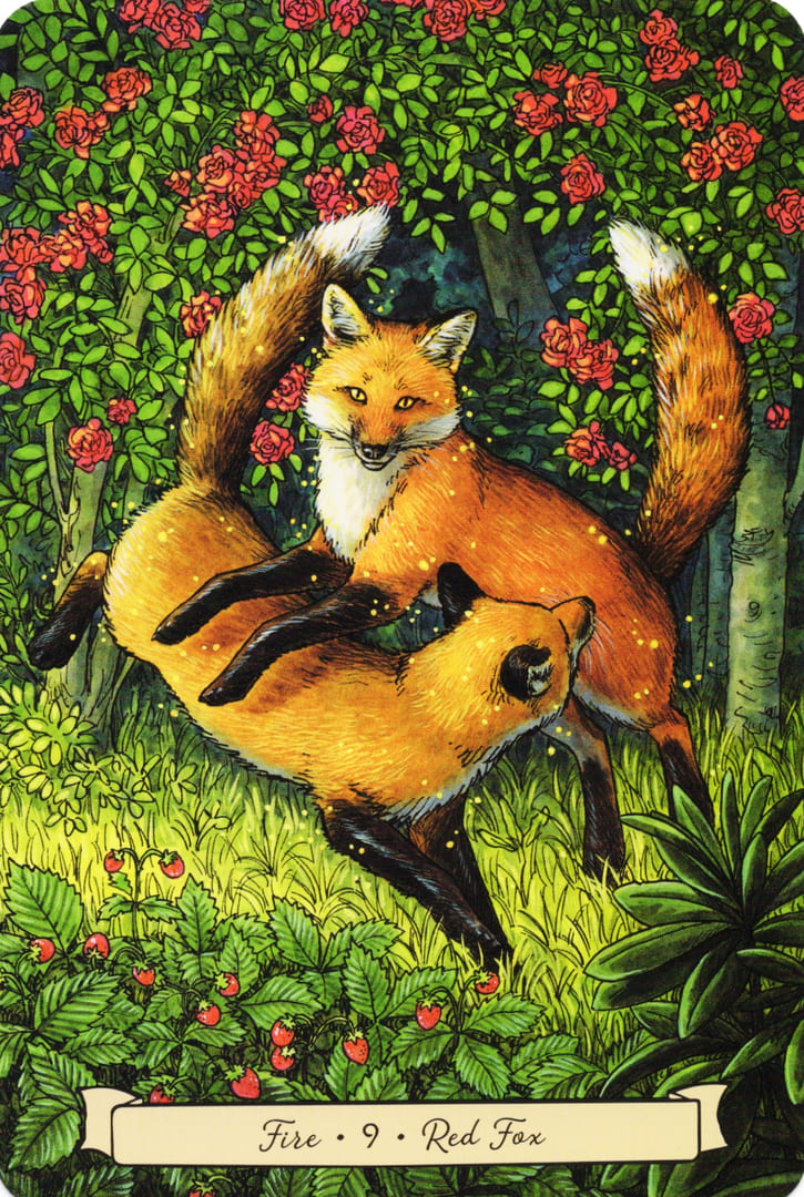 9 Красная Лиса (Огонь) — Everyday Witch's Familiars Oracle
