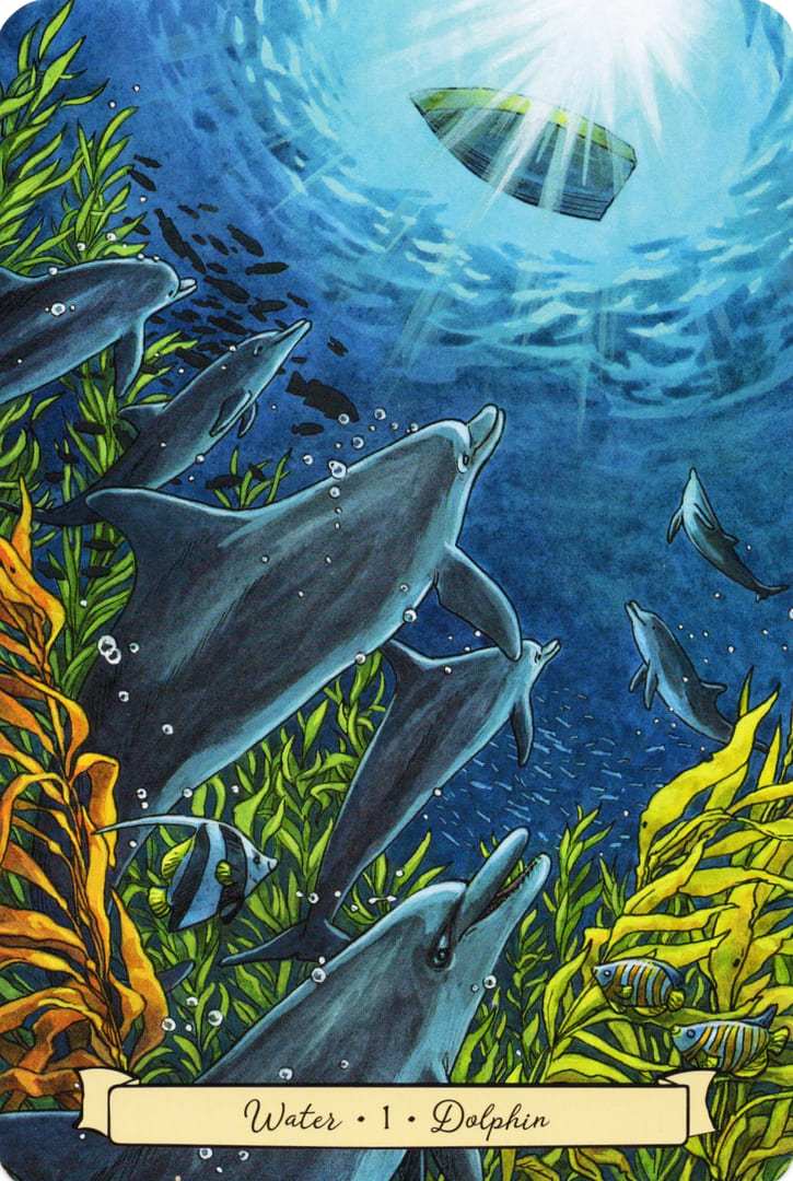 1 Дельфин (Вода)
