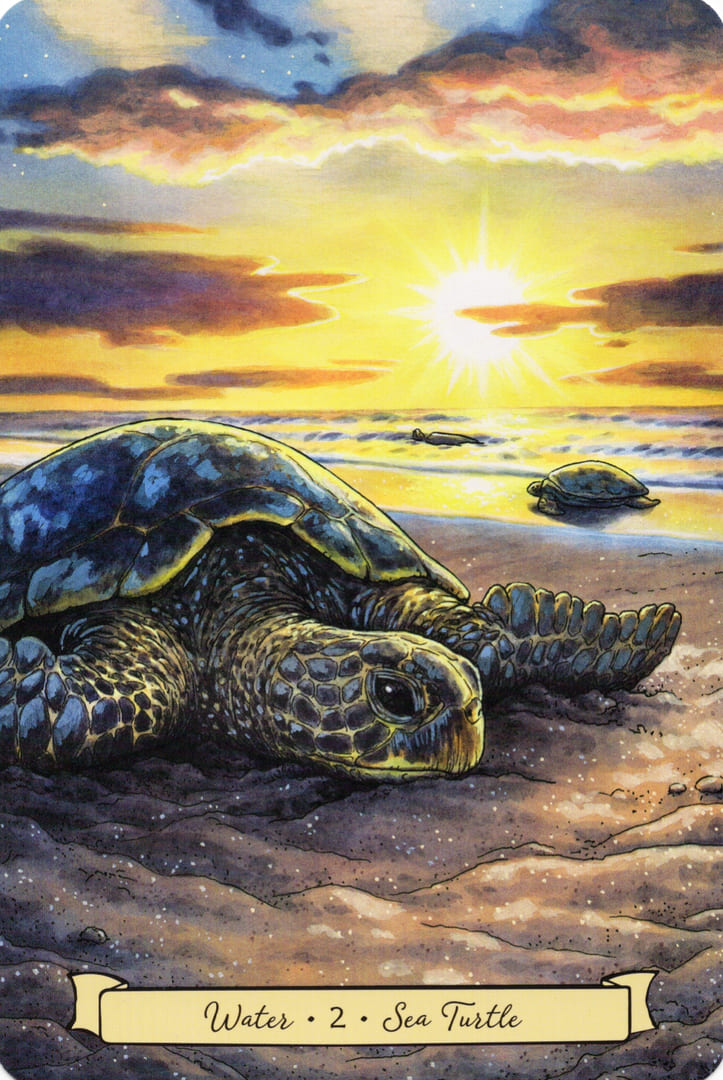 2 Морская Черепаха (Вода)