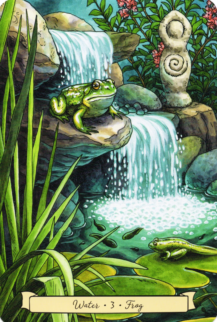 3 Лягушка (Вода)