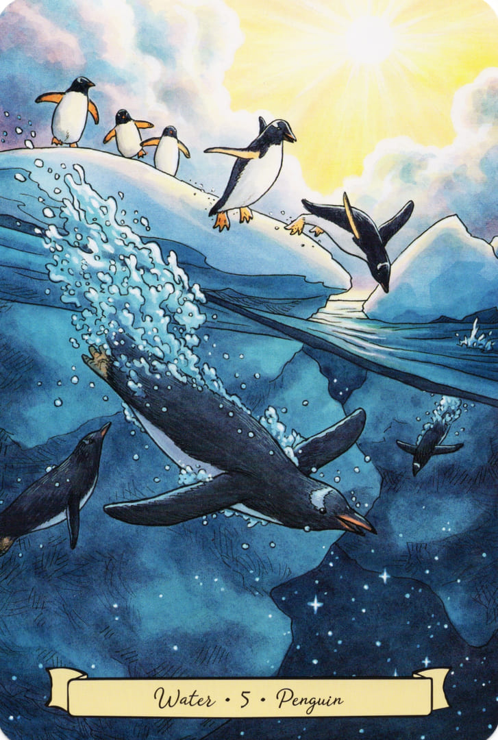 5 Пингвин (Вода) — Everyday Witch's Familiars Oracle