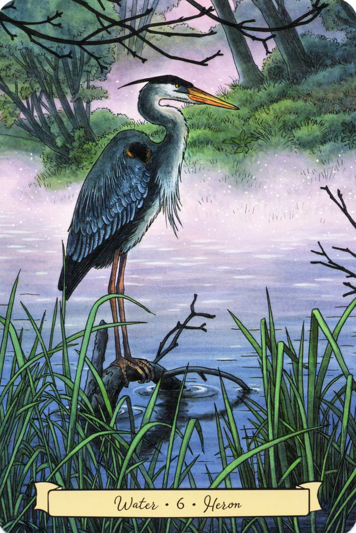 6 Цапля (Вода) — Everyday Witch's Familiars Oracle