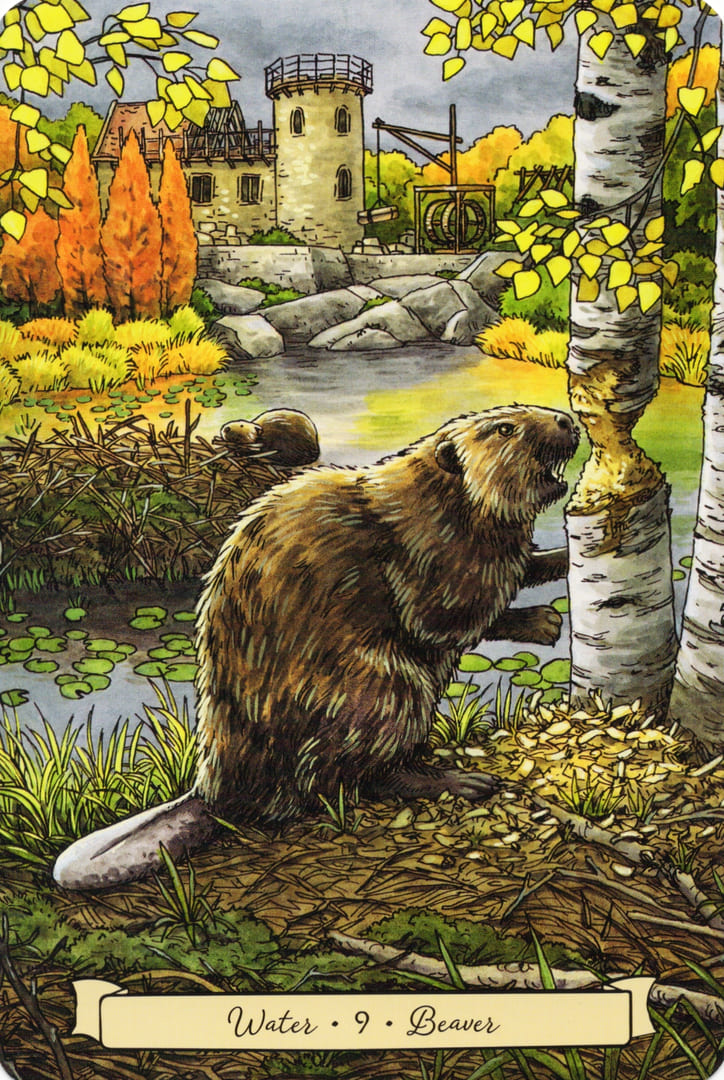 9 Бобр (Вода)